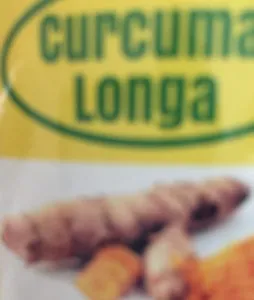 Curcuma longa