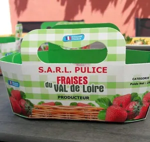 Fraises du val de loire