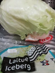 Laitue Iceberg