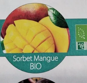 Sorbet mangue bio