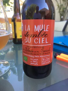 La mule tombée du ciel