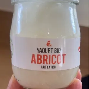 Yaourt bio abricot