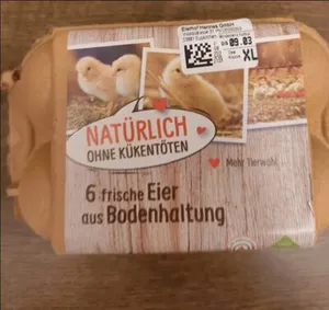 Eier aus Bodenhaltung