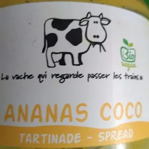 Ananas Coco