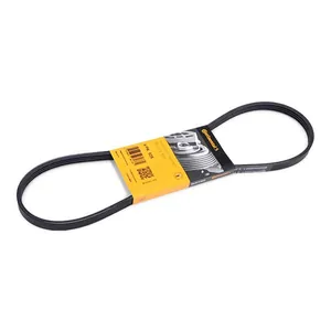 Multirem CONTITECH 4PK925