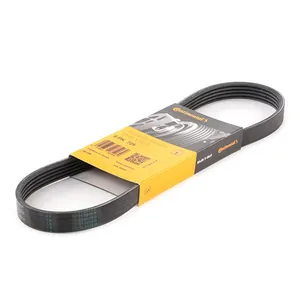 Multirem CONTITECH 5PK725