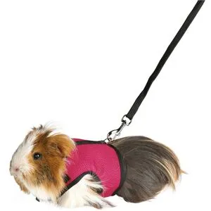 Trixie Soft Smådjurssele