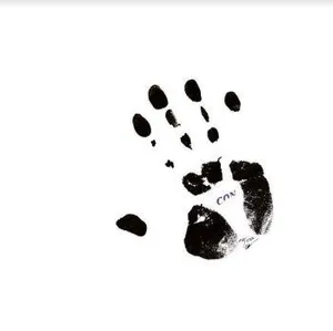 Schnitzler Conrad: Con 84