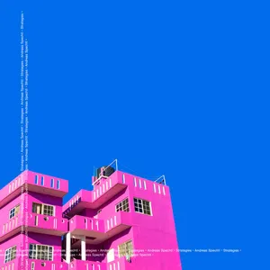 Spechtl Andreas: Strategies