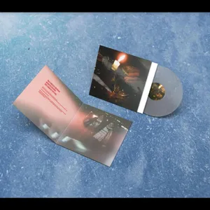 Steiner & Madlaina: Risiko