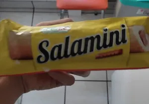 Salamini