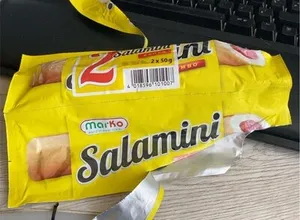 Salamini