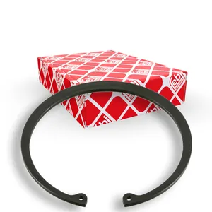 Säkringsring FEBI BILSTEIN 10189