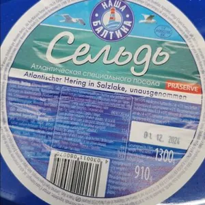 atlantischen herring