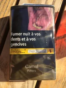 Camel Filtre