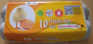 10 frische Eier aus Bodenhaltung