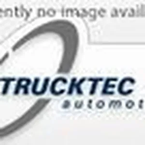 Dörrhandtagskontroll TRUCKTEC AUTOMOTIVE 02.53.013