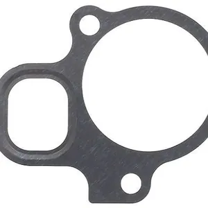 Packninmg, termostathus ELRING 576.000