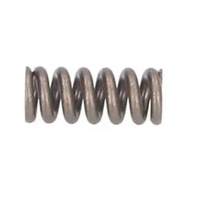 Fjäder BOSCH F 00R J00 657