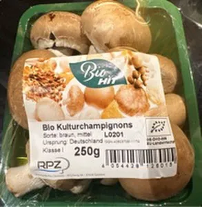 Champignons  braun