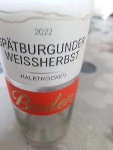 Spätburg.Weissherbst Baden