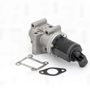 EGR-ventil NAP carparts CAV10029