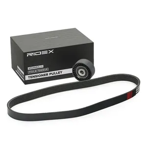Drivremssats RIDEX 542R1054