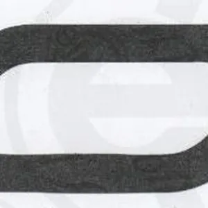 Packninmg, termostathus ELRING 305.626