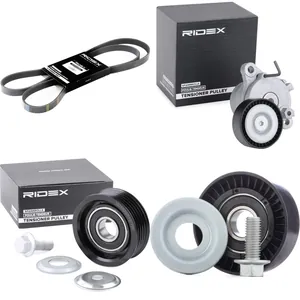 Drivremssats RIDEX 542R1266