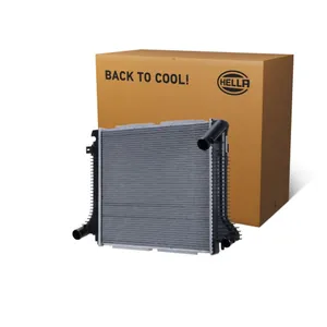 Kylare HELLA 8MK 366 300-861