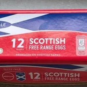 Scottish Free Range eggs