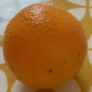 Clementines