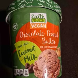 Chocolate Peanut Butter Non-Dairy Frozen Dessert