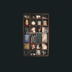 Nionde Plagan: Reflektion