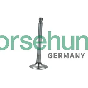 Avgasventil Borsehung B19008