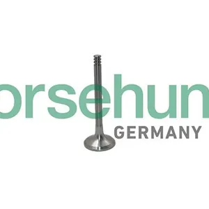 Avgasventil Borsehung B19012
