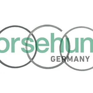 Kolvringsats Borsehung B19035