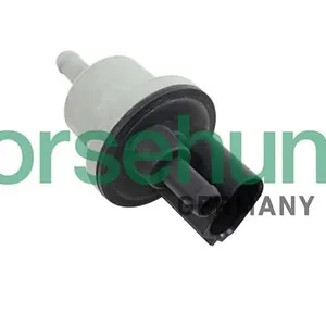 Ventil, aktivtkolfilter Borsehung B12188