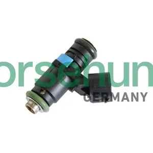 Insprutningsventil Borsehung B11159