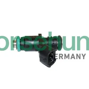 Insprutningsventil Borsehung B11165