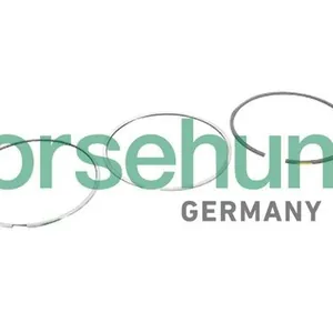 Kolvringsats Borsehung B10364