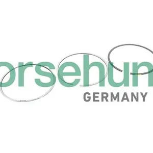 Kolvringsats Borsehung B10368