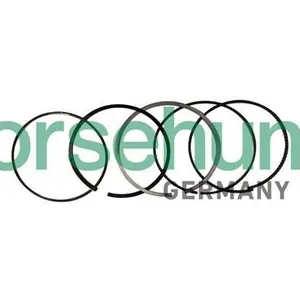 Kolvringsats Borsehung B10369