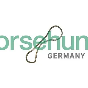 Kamkedja Borsehung B12769