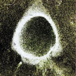 Amiira - Klaus Gesing Björn Meyer S: Curious ...