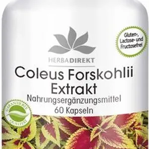 Coleus Forskohli Extrakt Nahrungsergänzungmittel