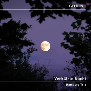 Hamburg Trio: Verklärte Nacht