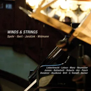 Spohr: Winds & Strings