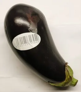 Aubergine