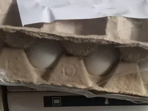 ESMA Supermarkt TT- Handels GmbH